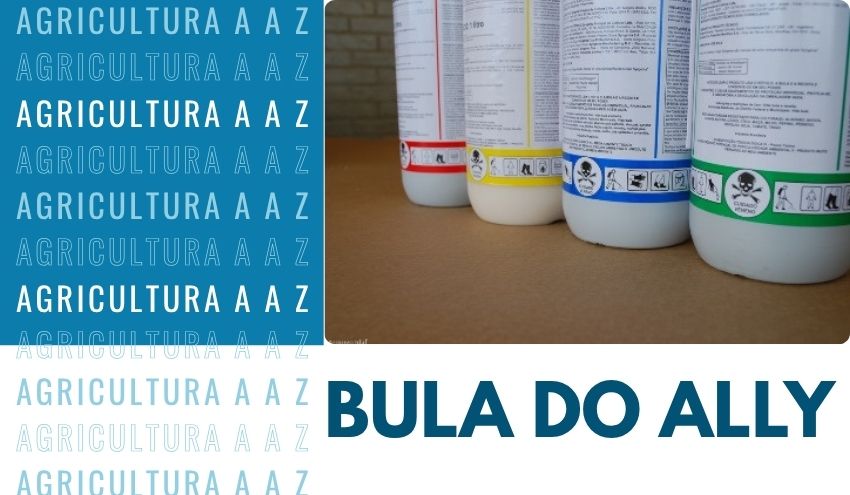Leia mais sobre o artigo Bula do Ally CI: informações completas