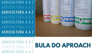 Leia mais sobre o artigo Bula do Aproach Power CI: informações completas