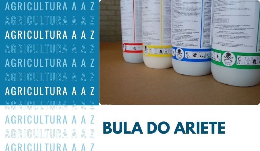 Leia mais sobre o artigo Bula do Ariete / Lucro CI: informações completas
