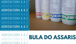 Leia mais sobre o artigo Bula do Assaris CI: informações completas