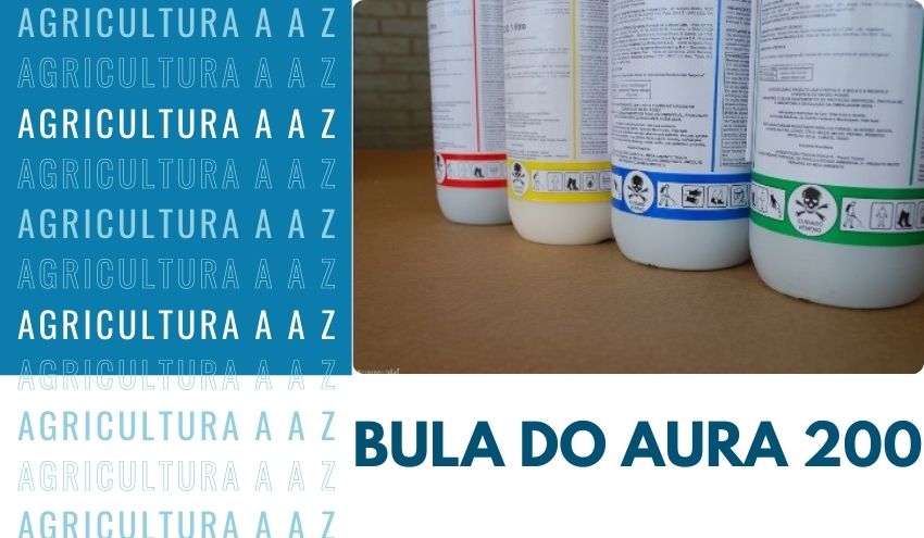 Leia mais sobre o artigo Bula do Aura 200 CI: informações completas