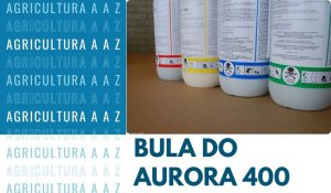 Leia mais sobre o artigo Bula do Aurora 400 EC CI: informações completas