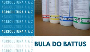 Leia mais sobre o artigo Bula do Battus CI: informações completas