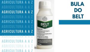 Leia mais sobre o artigo Bula do Belt CI: informações completas sobre Flubendiamida