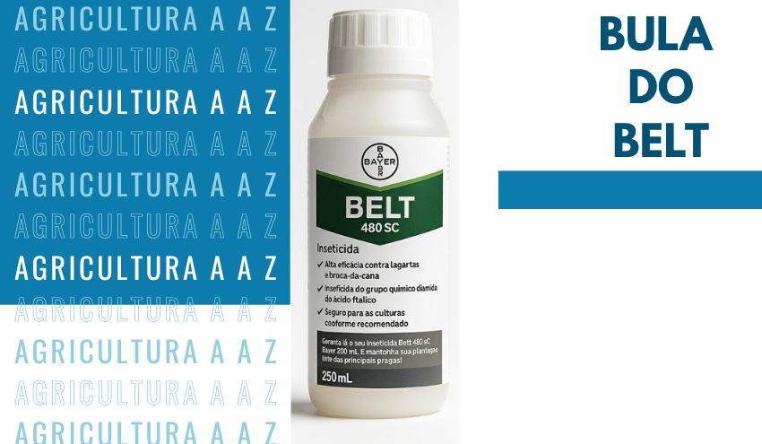 Leia mais sobre o artigo Bula do Belt CI: informações completas sobre Flubendiamida