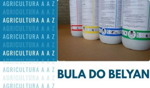 Leia mais sobre o artigo Bula do Belyan CI: informações completas