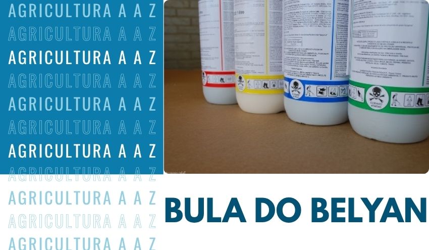 Leia mais sobre o artigo Bula do Belyan CI: informações completas