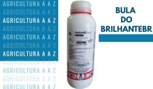 Leia mais sobre o artigo Bula do BrilhanteBR CI: informações completas