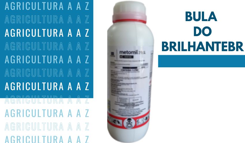 Leia mais sobre o artigo Bula do BrilhanteBR CI: informações completas