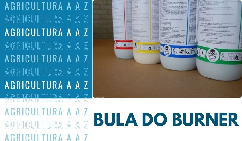 Leia mais sobre o artigo Bula do Burner CI: informações completas