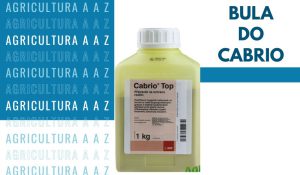 Leia mais sobre o artigo Bula do Cabrio Top CI: informações completas