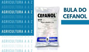 Leia mais sobre o artigo Bula do Cefanol/Acefato 750 Tide / Socker 750 / Socker SP CI: informações completas sobre Acefato