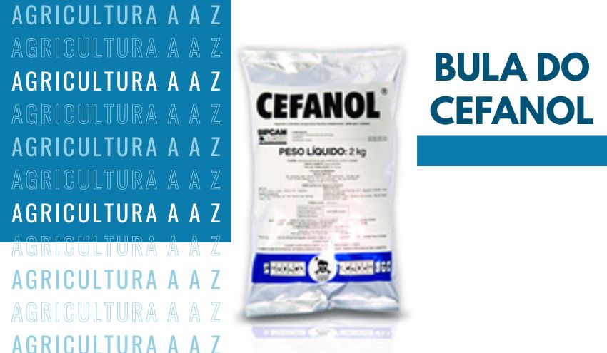 Leia mais sobre o artigo Bula do Cefanol/Acefato 750 Tide / Socker 750 / Socker SP CI: informações completas sobre Acefato