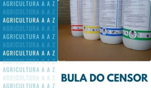 Leia mais sobre o artigo Bula do Censor CI: informações completas