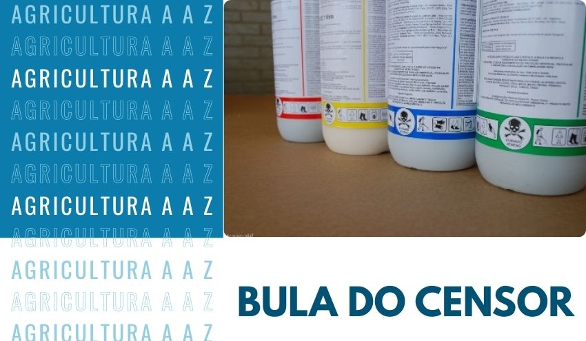 Leia mais sobre o artigo Bula do Censor CI: informações completas