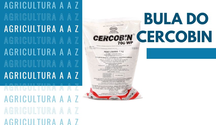 Leia mais sobre o artigo Bula do Cercobin 875 WG CI: informações completas