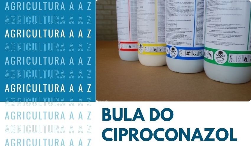 Leia mais sobre o artigo Bula do Ciproconazol CCAB 100 SL CI: informações completas