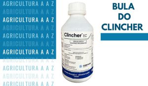 Leia mais sobre o artigo Bula do Clincher CI: informações completas