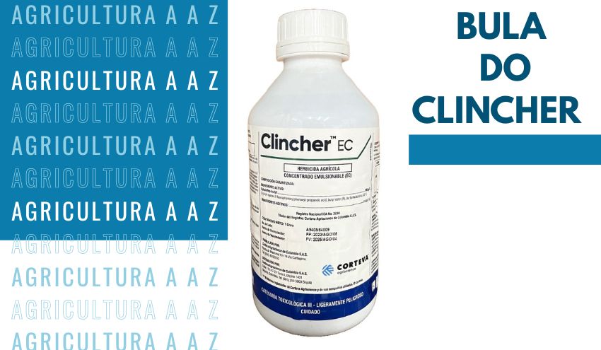 Leia mais sobre o artigo Bula do Clincher CI: informações completas