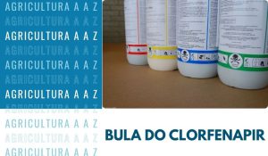 Leia mais sobre o artigo Bula do Clorfenapir Nortox CI: informações completas