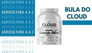 Leia mais sobre o artigo Bula do Cloud CI: informações completas