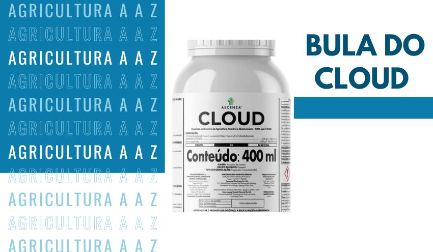 Leia mais sobre o artigo Bula do Cloud CI: informações completas