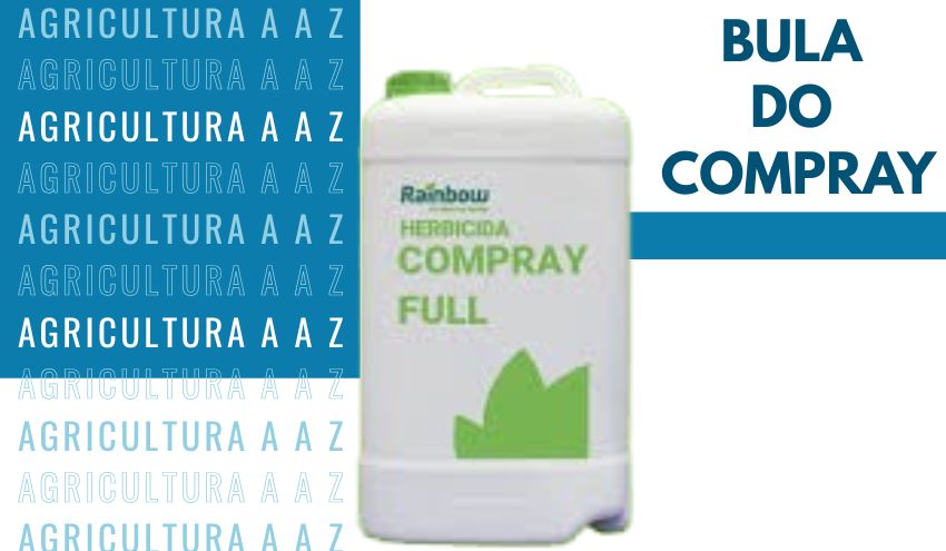 Leia mais sobre o artigo Bula do Compray: informações completas