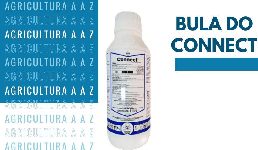 Leia mais sobre o artigo Bula do Connect CI: informações completas