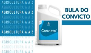 Leia mais sobre o artigo Bula do Convicto CI: informações completas sobre Azoxistrobina e Epoxiconazol