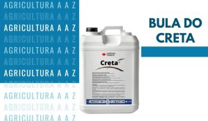Leia mais sobre o artigo Bula do Creta CI: informações completas