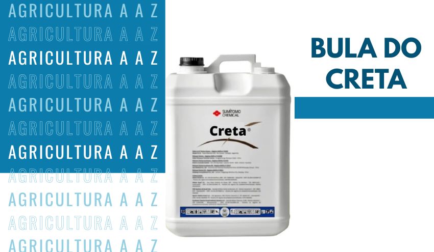 Leia mais sobre o artigo Bula do Creta CI: informações completas