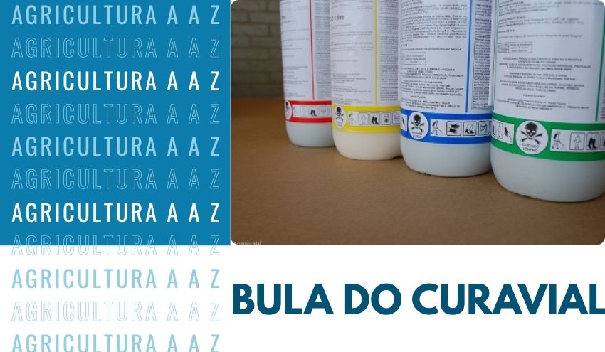 Leia mais sobre o artigo Bula do Curavial CI: informações completas