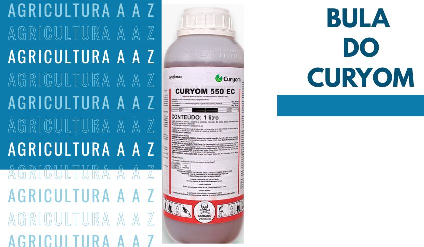 Leia mais sobre o artigo Bula do Curyom 550 EC / Curyom CI: informações completas