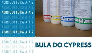 Leia mais sobre o artigo Bula do Cypress 400 EC / Glove CI: informações completas