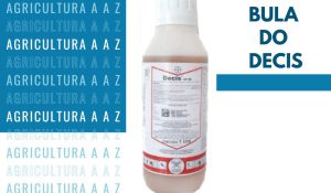 Leia mais sobre o artigo Bula do Decis 25 EC CI: informações completas