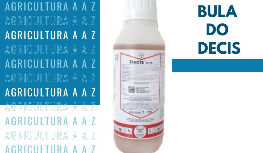 Leia mais sobre o artigo Bula do Decis 25 EC CI: informações completas
