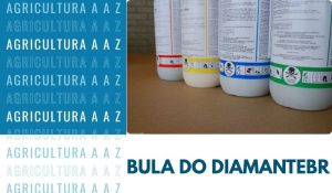 Leia mais sobre o artigo Bula do DiamanteBR CI: informações completas