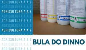 Leia mais sobre o artigo Bula do Dinno CI: informações completas