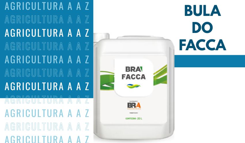 Leia mais sobre o artigo Bula do Facca CI: informações completas