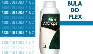 Leia mais sobre o artigo Bula do Flex CI: informações completas