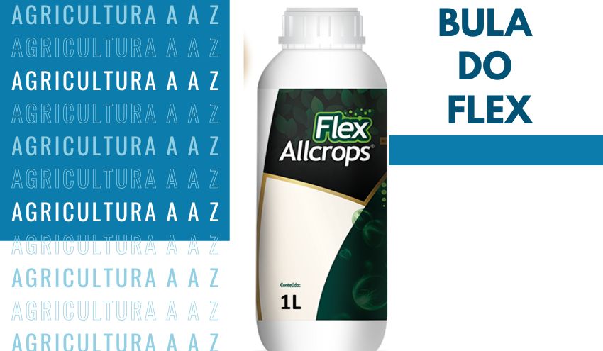 Leia mais sobre o artigo Bula do Flex CI: informações completas