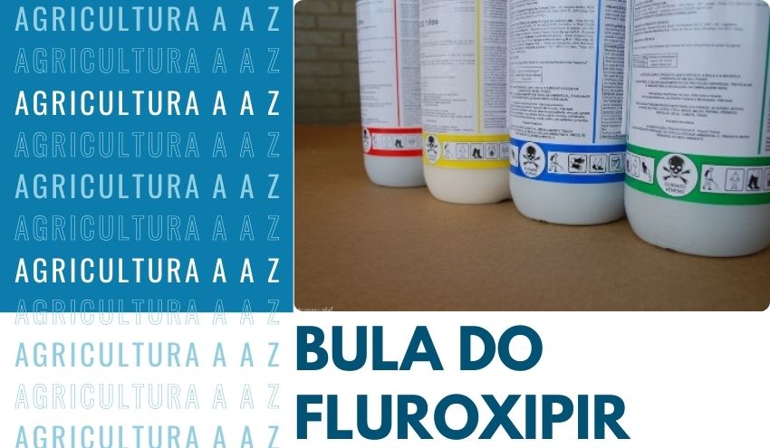 Leia mais sobre o artigo Bula do Fluroxipir P Nortox CI: informações completas