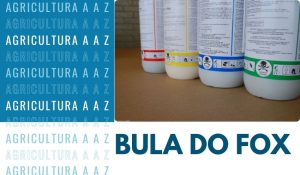 Leia mais sobre o artigo Bula do Fox Supra CI: informações completas