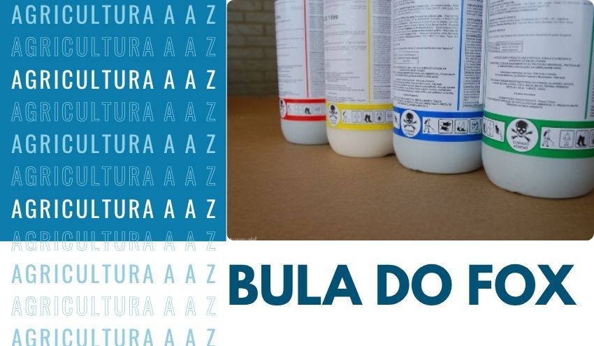 Leia mais sobre o artigo Bula do Fox Supra CI: informações completas