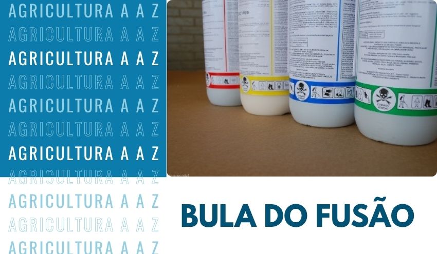 Leia mais sobre o artigo Bula do Fusão EC CI: informações completas