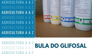 Leia mais sobre o artigo Bula do Glifosal Safe CI: informações completas