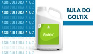 Leia mais sobre o artigo Bula do Goltix CI: informações completas sobre Metamitrona