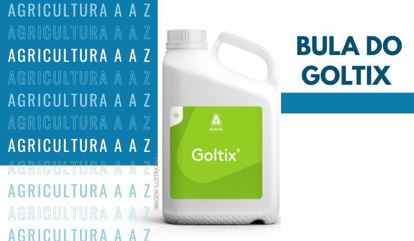 Leia mais sobre o artigo Bula do Goltix CI: informações completas sobre Metamitrona