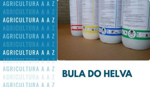 Leia mais sobre o artigo Bula do Helva CI: informações completas sobre S-Metolacloro e Sulfentrazona