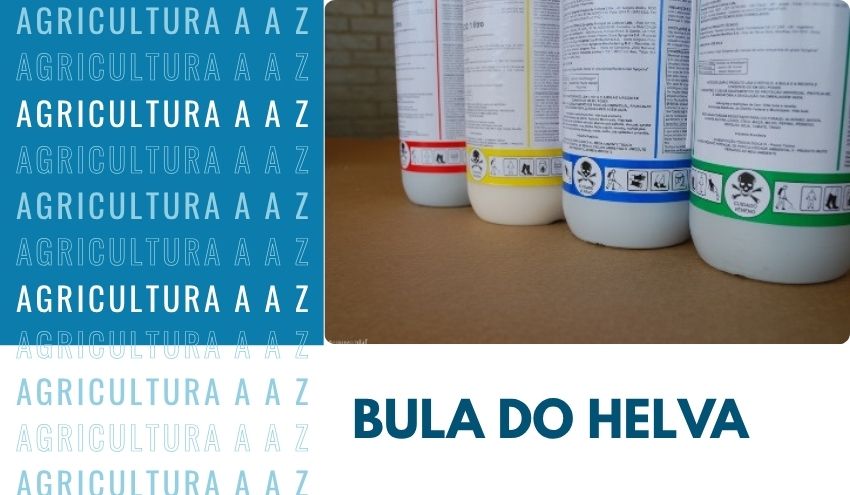 Leia mais sobre o artigo Bula do Helva CI: informações completas sobre S-Metolacloro e Sulfentrazona